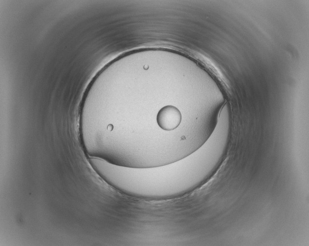 X0000114631284200911171002