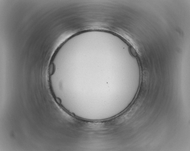 X0000114631285200911171002