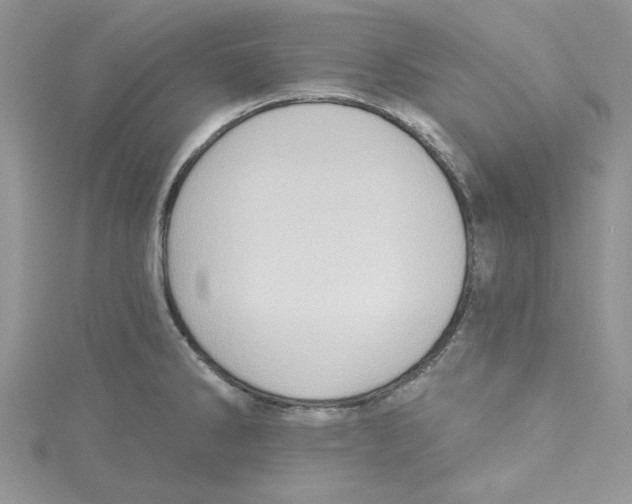 X0000114631286200911171002