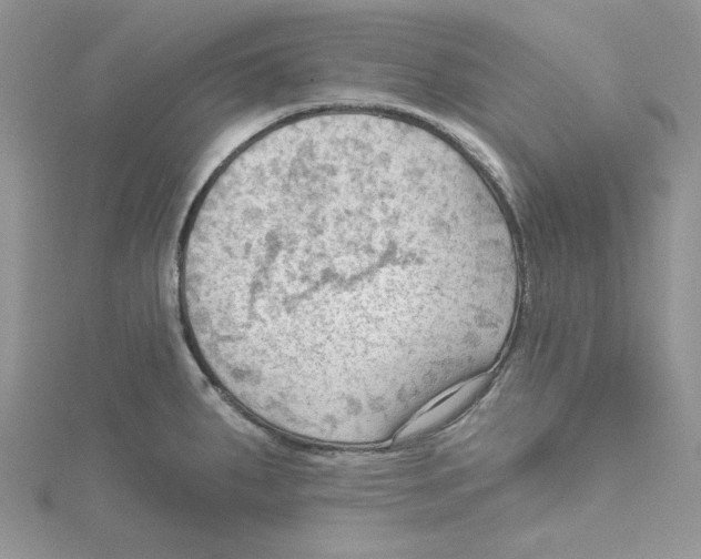 X0000114631287200911171002