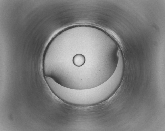 X0000114631288200911171002