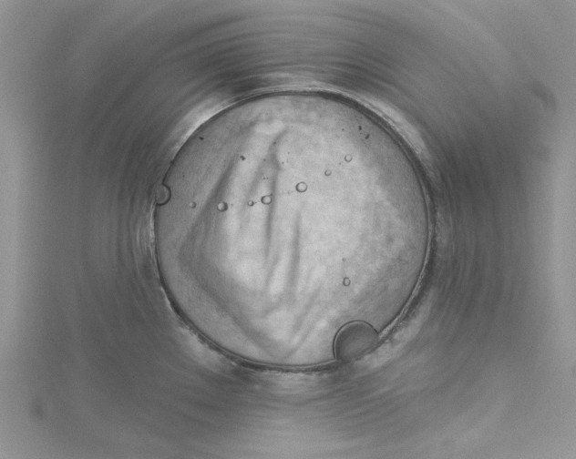 X0000114631289200911171002