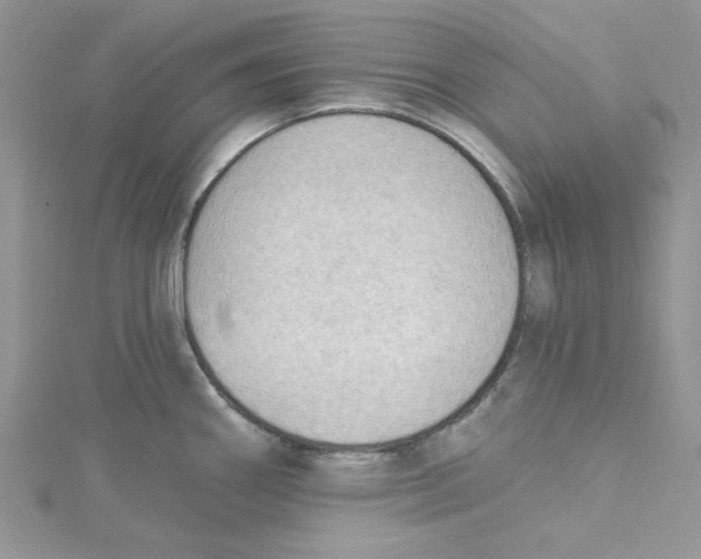 X0000114631290200911171001