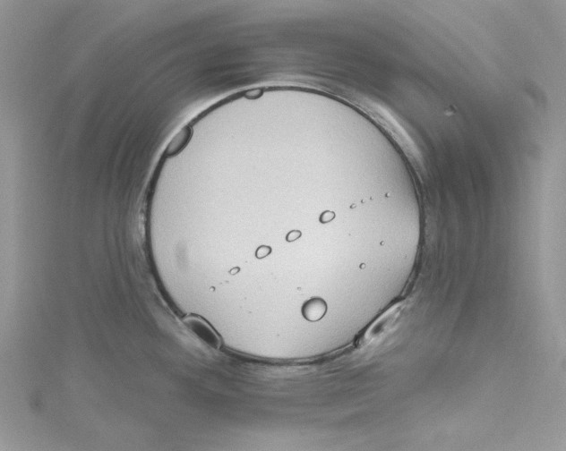 X0000114631292200911171001