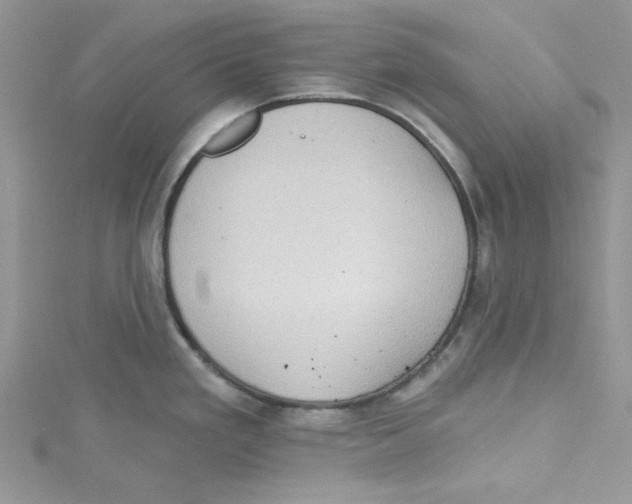 X0000114631293200911171001