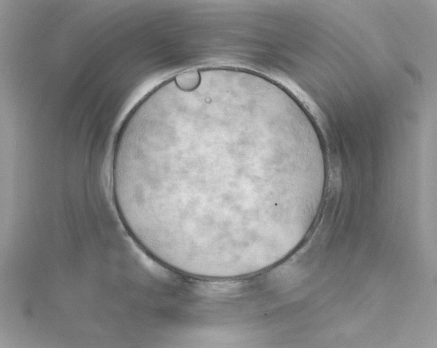 X0000114631294200911171001