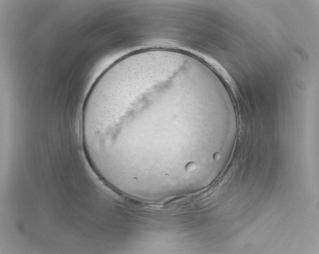 X0000114631295200911171001