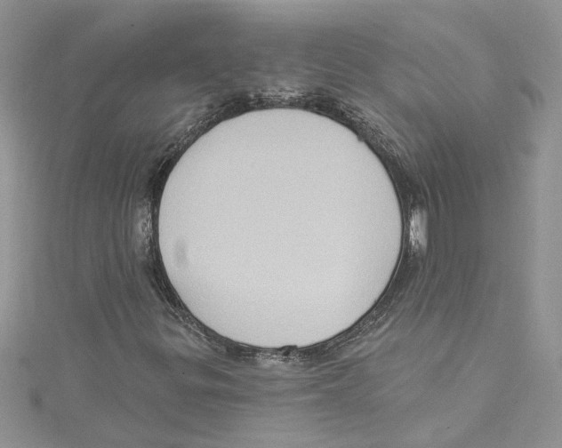 X0000114631299200911171001