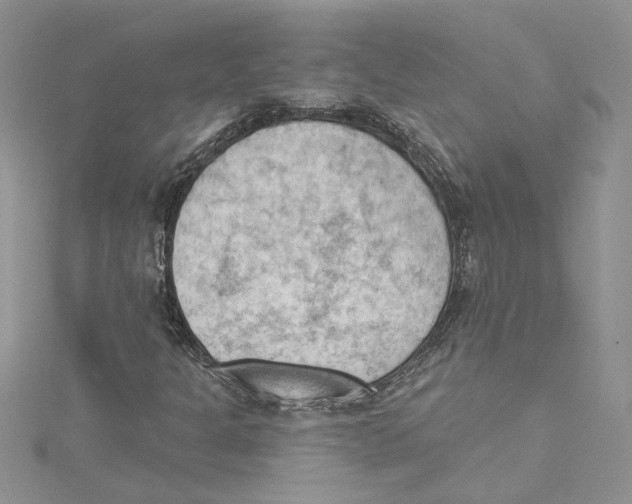 X0000114631301200911171001