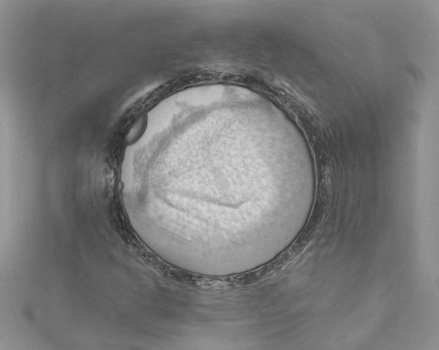 X0000114631302200911171001