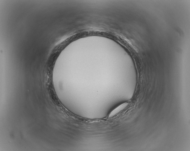 X0000114631303200911171001