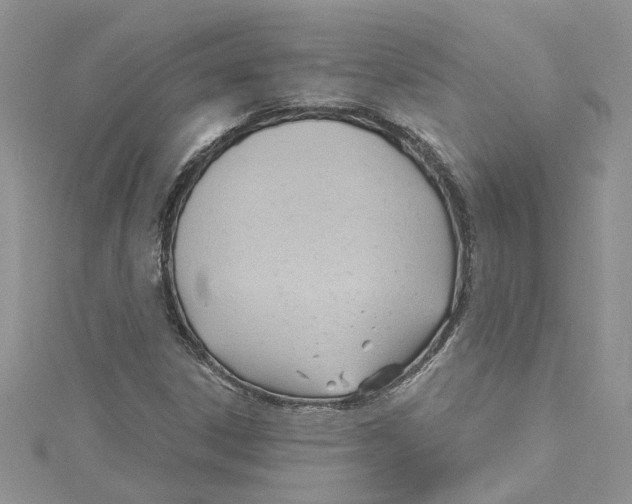 X0000114631306200911171001