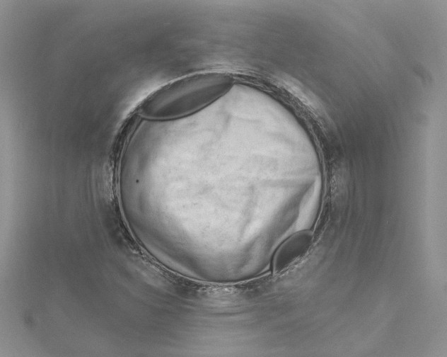 X0000114631310200911171001