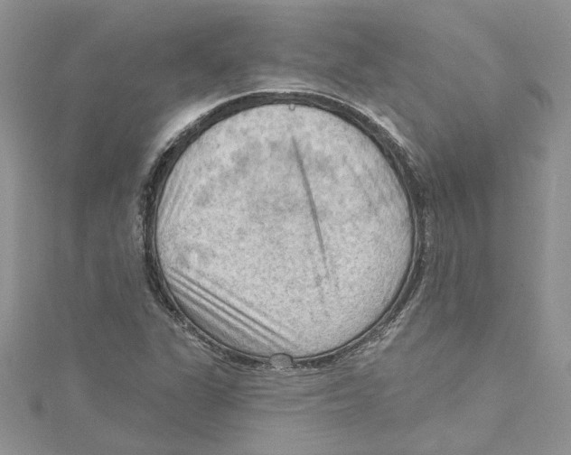 X0000114631311200911171001