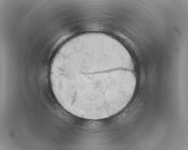 X0000114631314200911171001