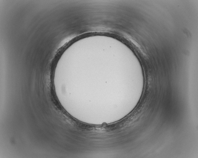 X0000114631315200911171001