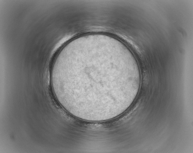 X0000114631317200911171001