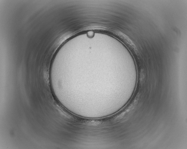 X0000114631321200911171001