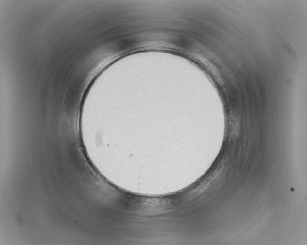 X0000114631322200911171001