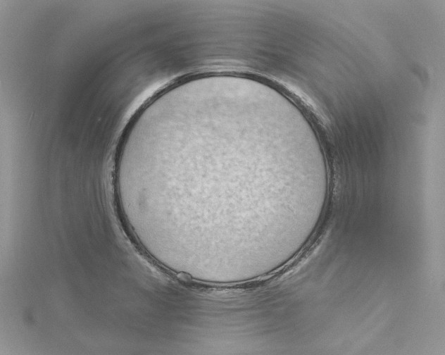 X0000114631325200911171001