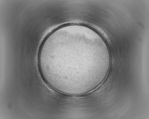 X0000114631327200911171001