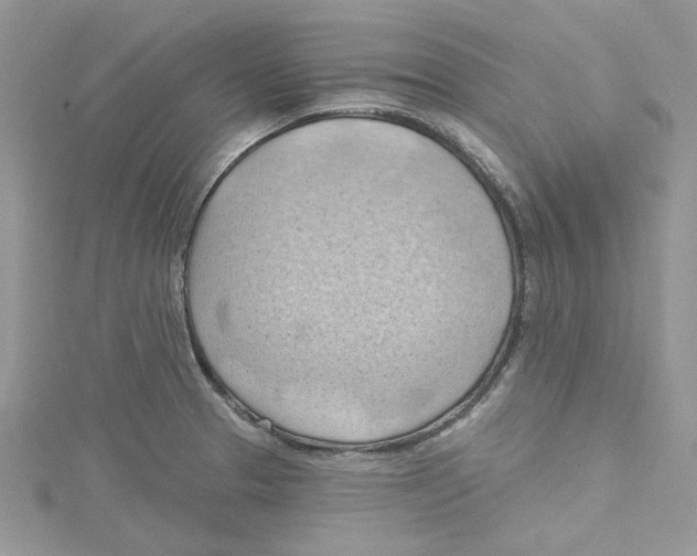 X0000114631329200911171001