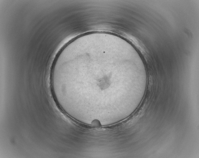 X0000114631331200911171001