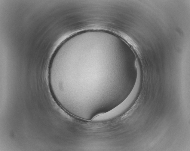 X0000114631334200911171001