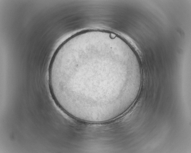 X0000114631335200911171001