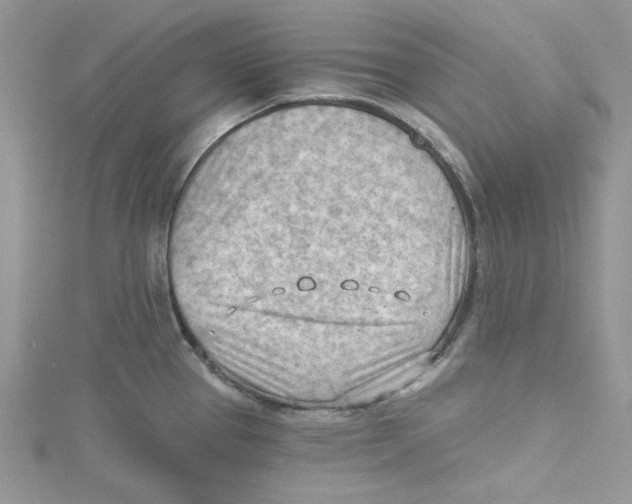 X0000114631337200911171001