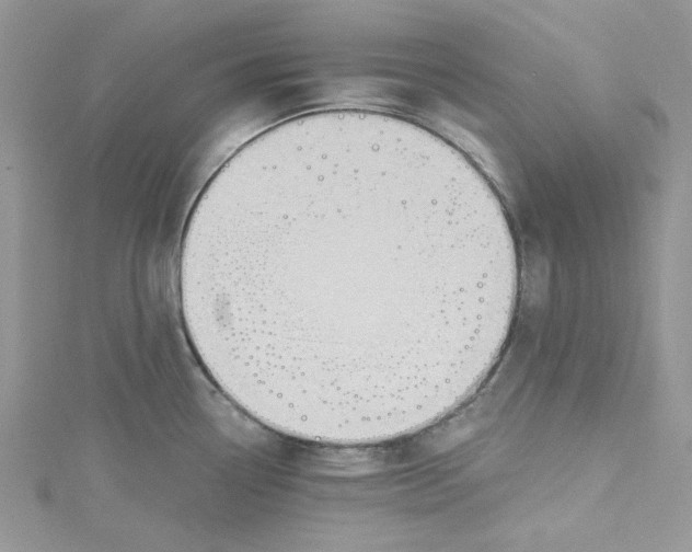 X0000114631338200911171001