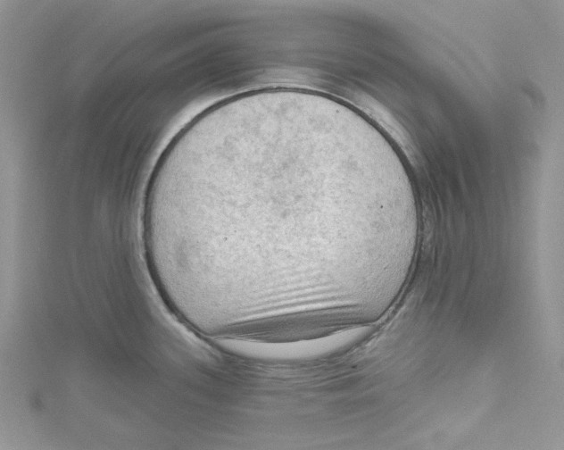 X0000114631339200911171001