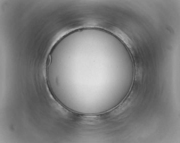 X0000114631342200911171001