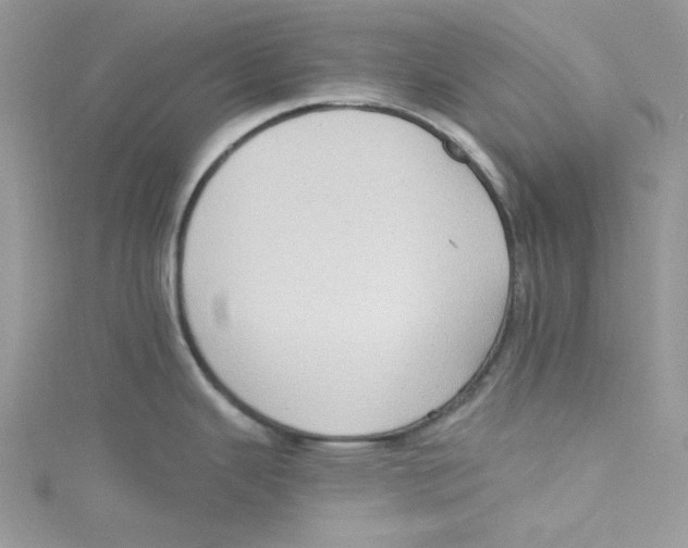 X0000114631343200911171001