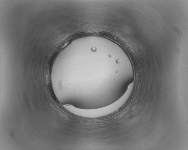 X0000114631348200911171001