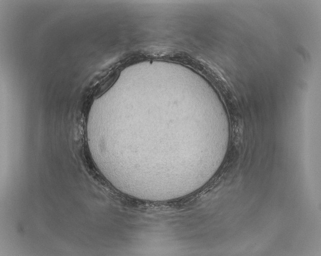 X0000114631349200911171001