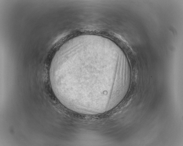 X0000114631350200911171001