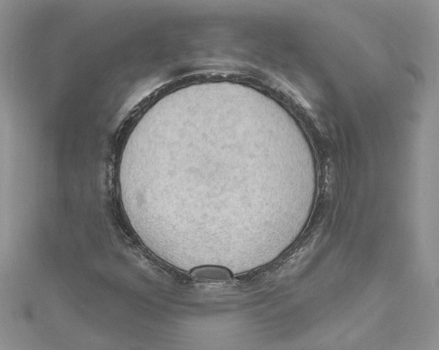 X0000114631352200911171001