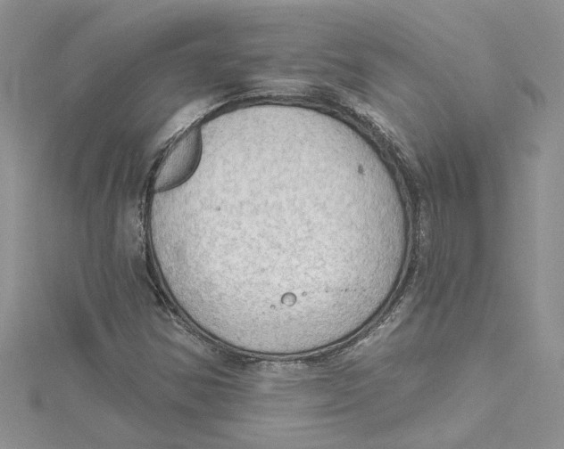 X0000114631354200911171001