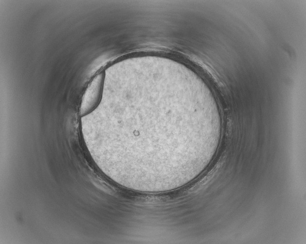 X0000114631355200911171001