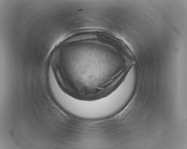 X0000114631357200911171001