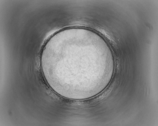 X0000114631358200911171001