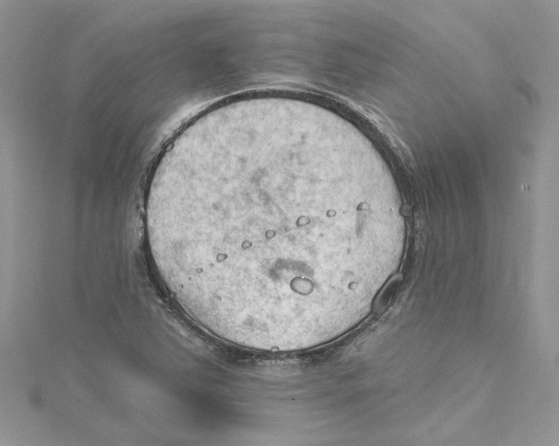 X0000114631363200911171001