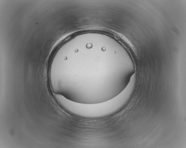 X0000114631364200911171000