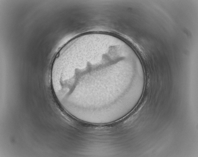 X0000114631367200911171000