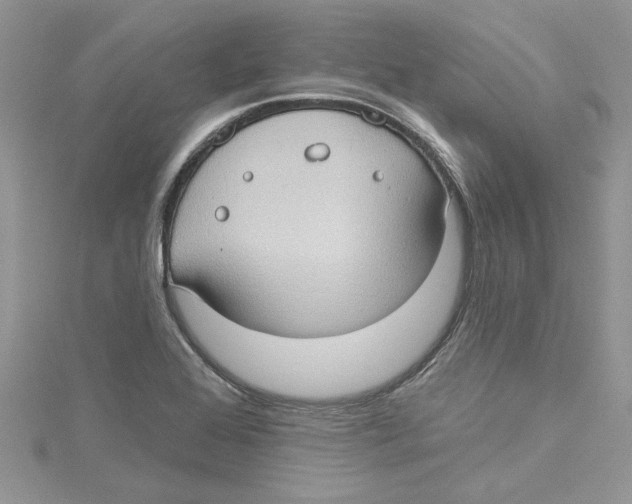 X0000114631368200911171000