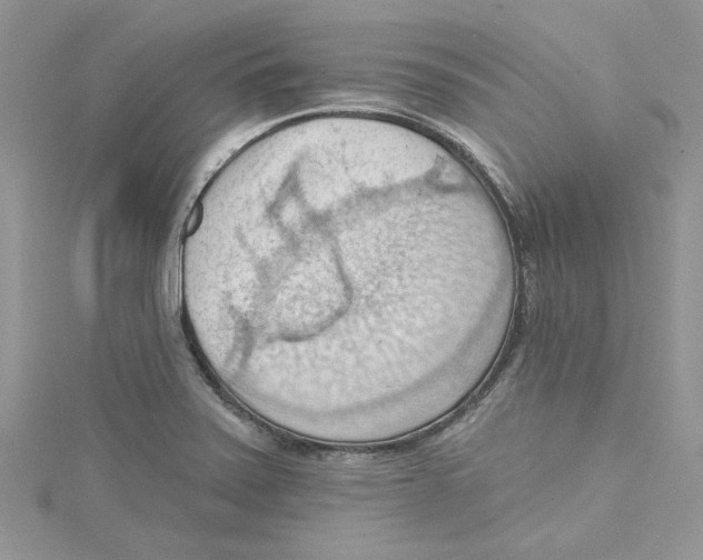 X0000114631371200911171000