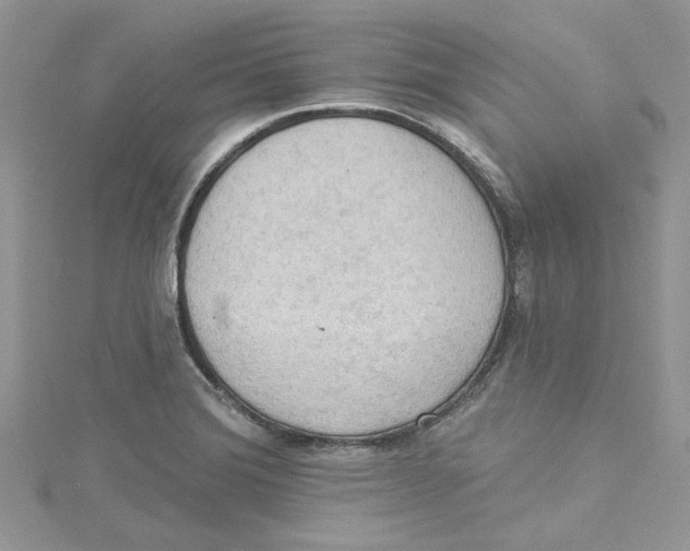 X0000114631372200911171000