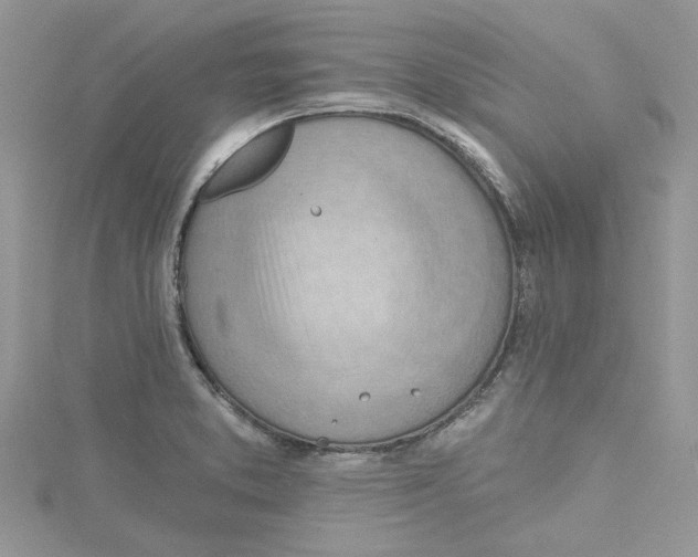 X0000114631373200911171000