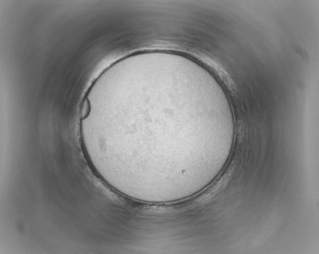 X0000114631374200911171000